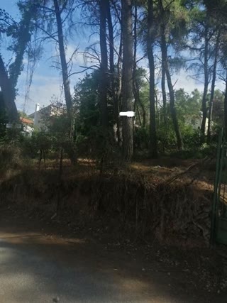 Участок 350 м²
