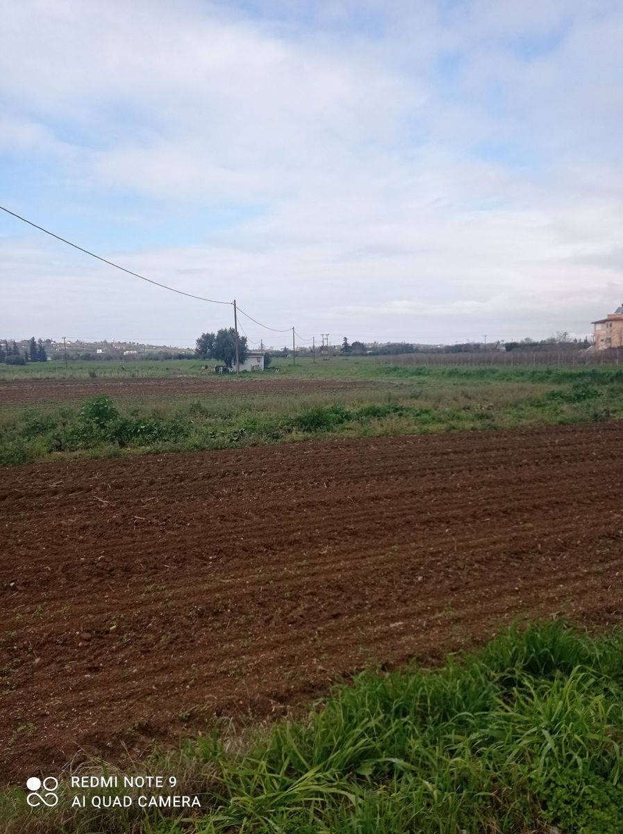 Участок 5000 м²