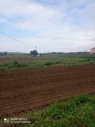Участок 5000 м²
