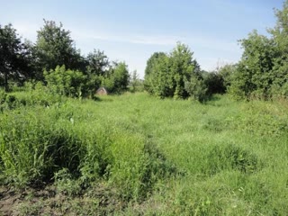 For sale two adjacent plots in the city for residential construction