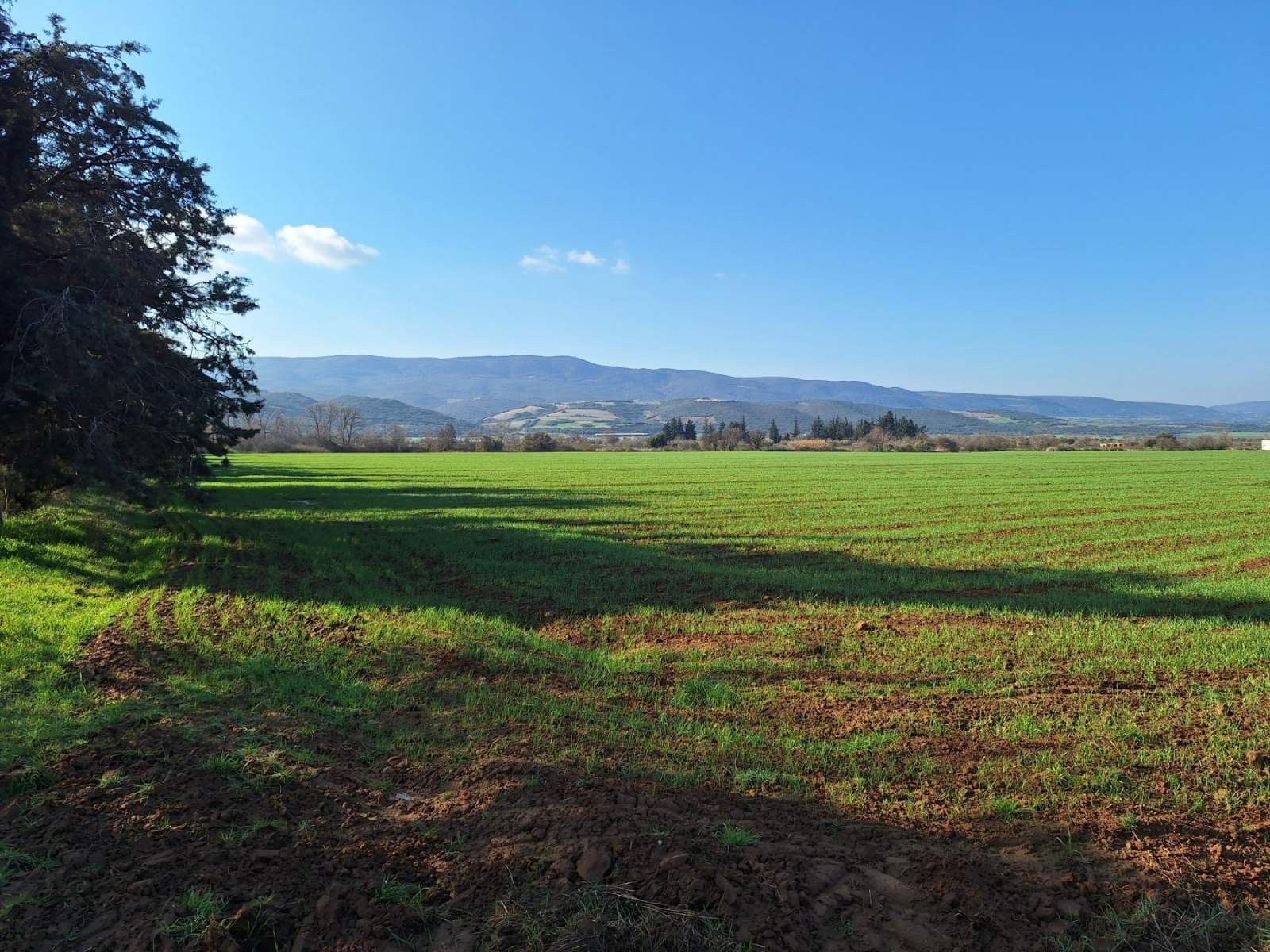 60000 m² Parcel