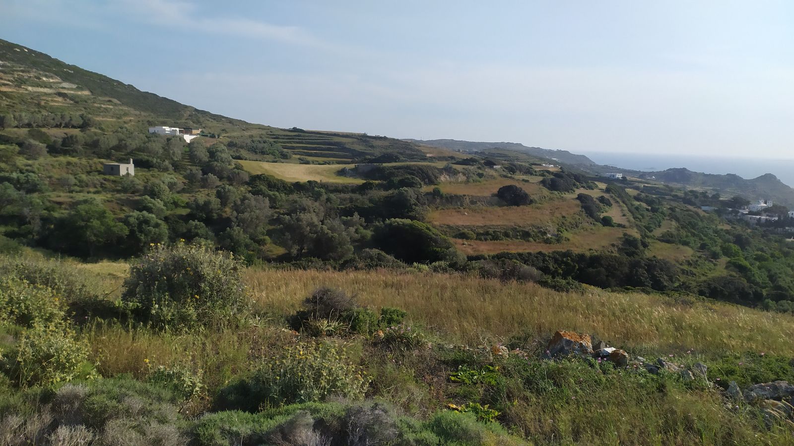4400 m² Parcel