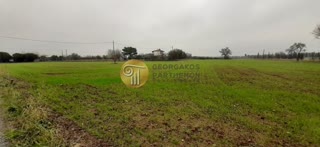 23700 m² Parcel