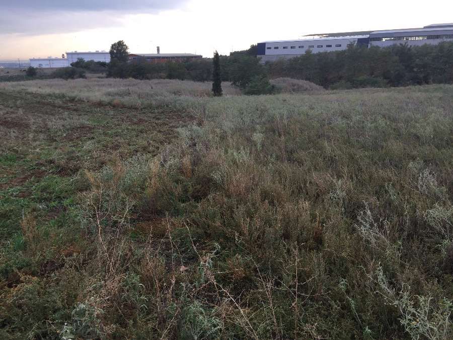 Участок 10500 м²