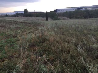 10500 m² Parcel