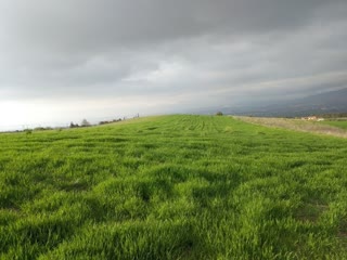 10000 m² Parcel