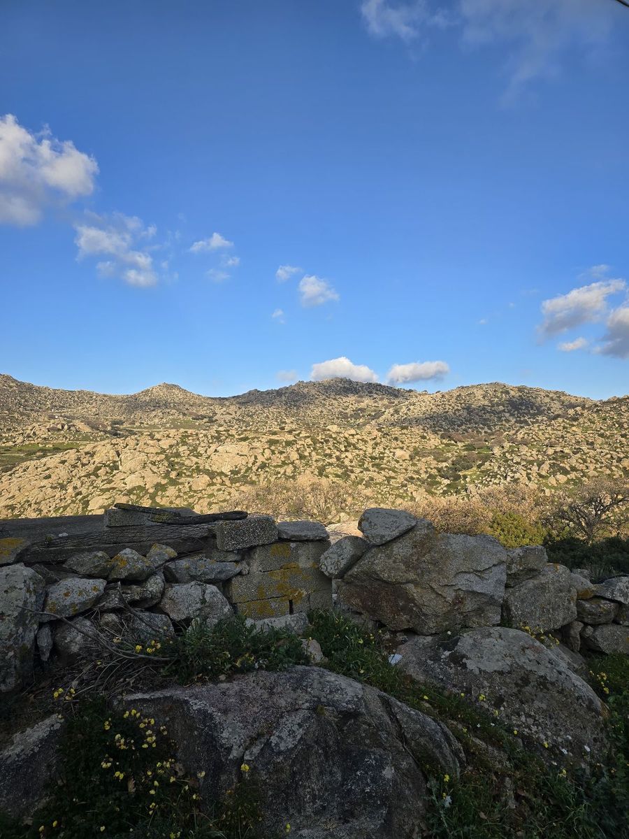 301 m² Plot