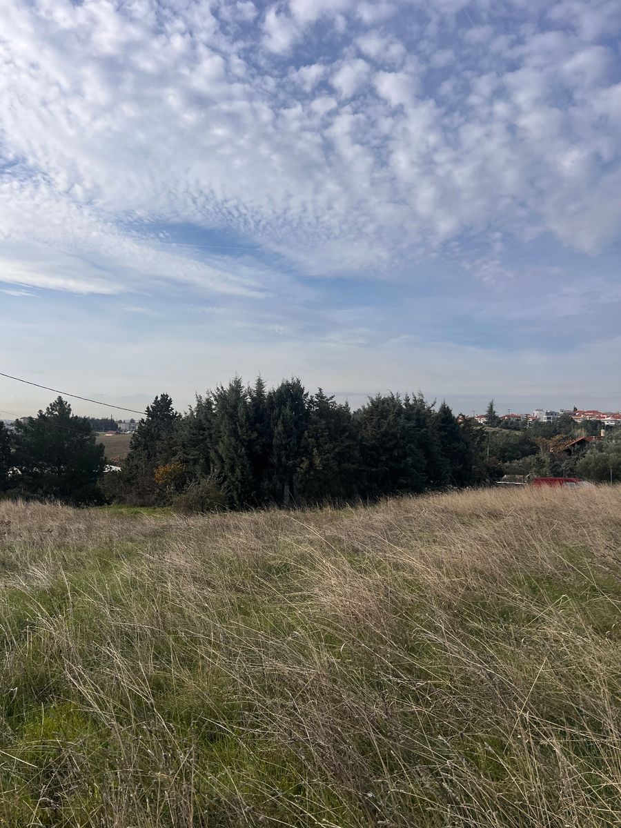 Parcel of 192 m²