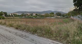 2164 m² Plot