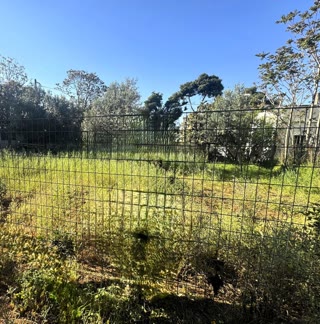 293 m² Plot
