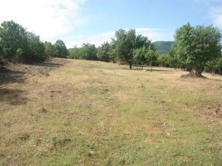 Участок 4153 м²