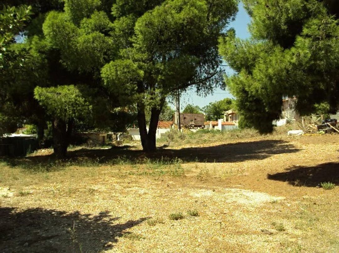 Οικόπεδο 1577τ.μ.