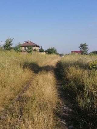 For sale: land in Mala Danilivka (Kharkiv)