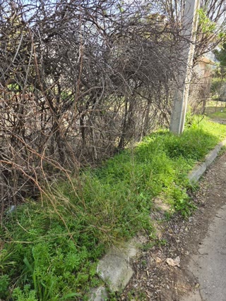 580 m² Plot
