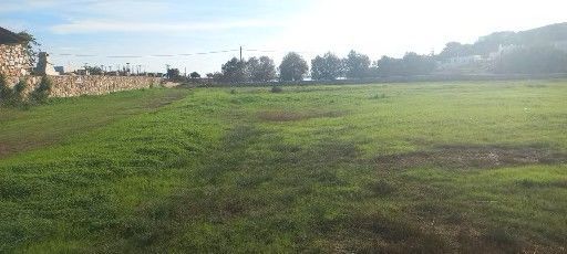 5338 m² Plot