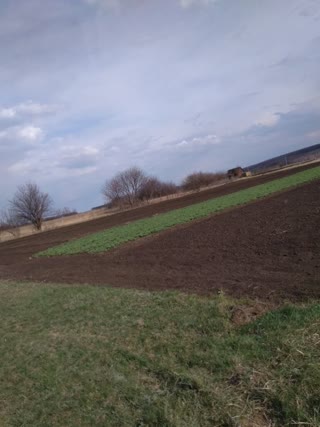 For Sale: Land Plot 15 Acres Cherkaska Lozova