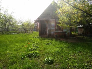 продам дачу в лісовій зоні
