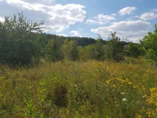 Land plot