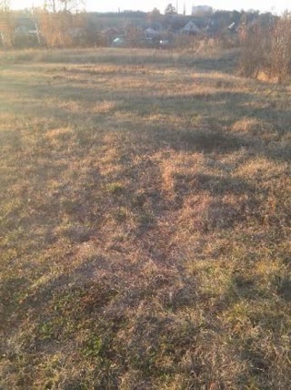 For sale plot Derhachi