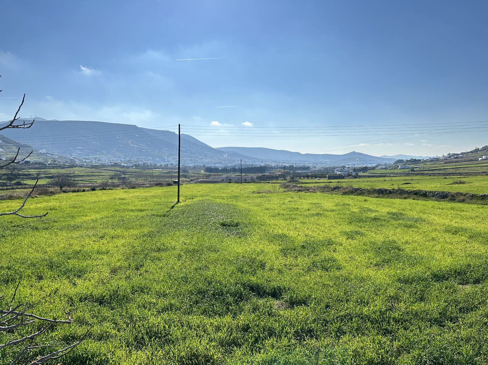 6000 τ.μ. Αγροτεμάχιο