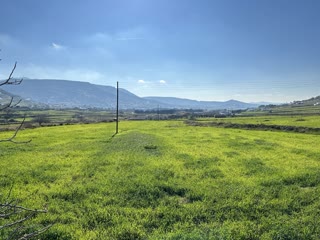 Участок, 6000 м²