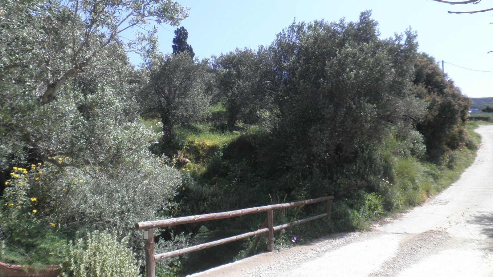 Οικόπεδο 2700τ.μ.