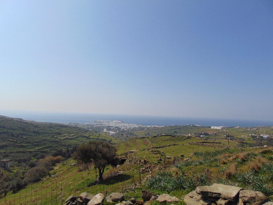 6300 m² Parcel