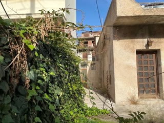 255 m² Plot