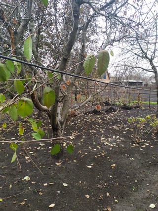 Продам жилой дом