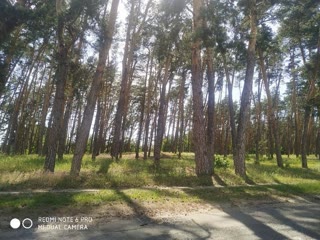 For Sale: Summer Cottage Plot Derhachi