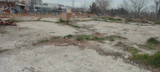 256 m² Plot