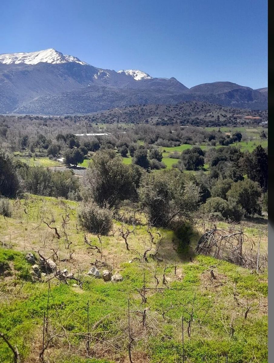 Μονοκατοικία 145τ.μ.