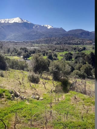 Μονοκατοικία 145τ.μ.