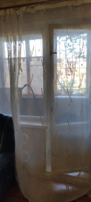 Продам 1 квартиру Дворець Спорту, вул. Тонкопія, Слобідський р-н, Нові будинки
