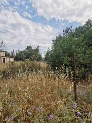 480 m² Plot