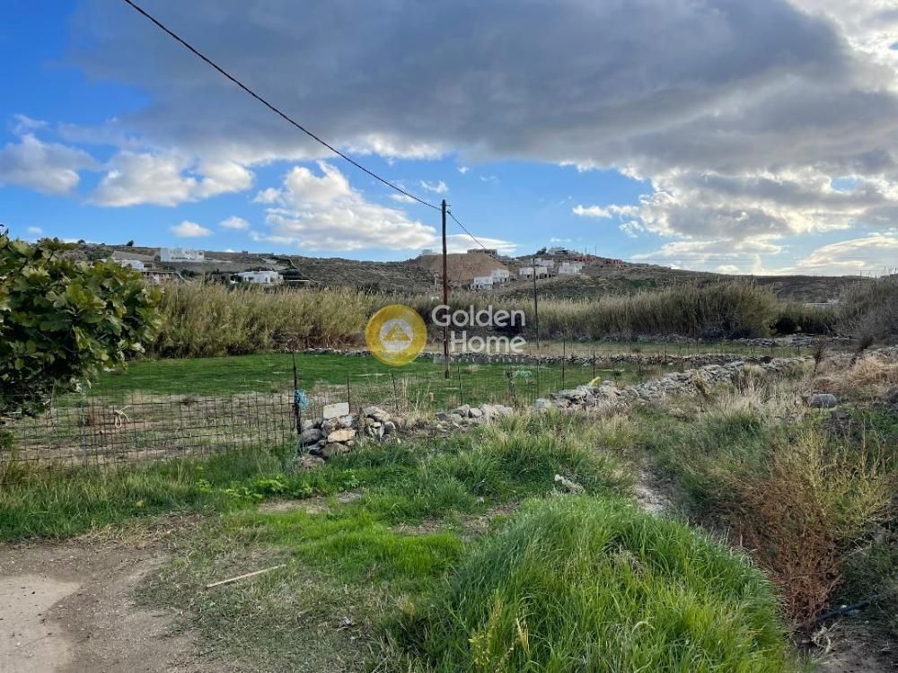 4300 m² Plot