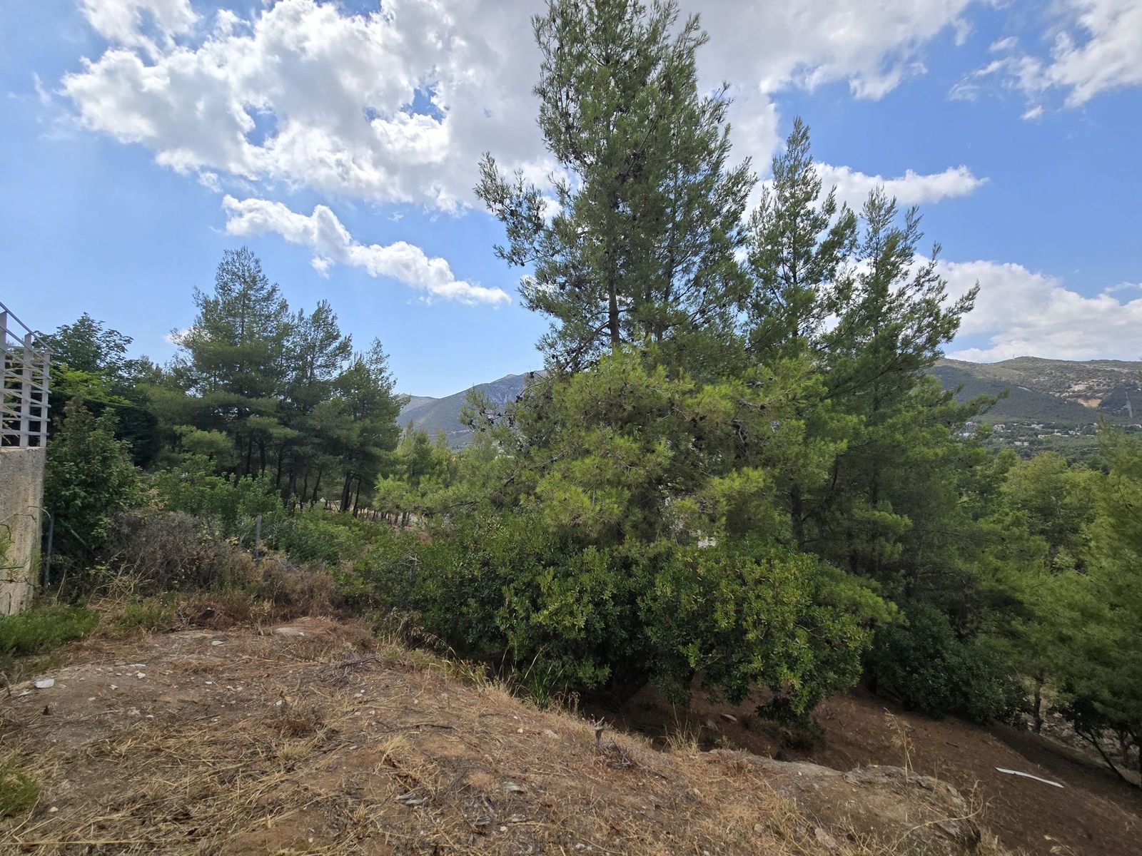800 m² Plot