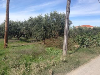 4200 m² Parcel