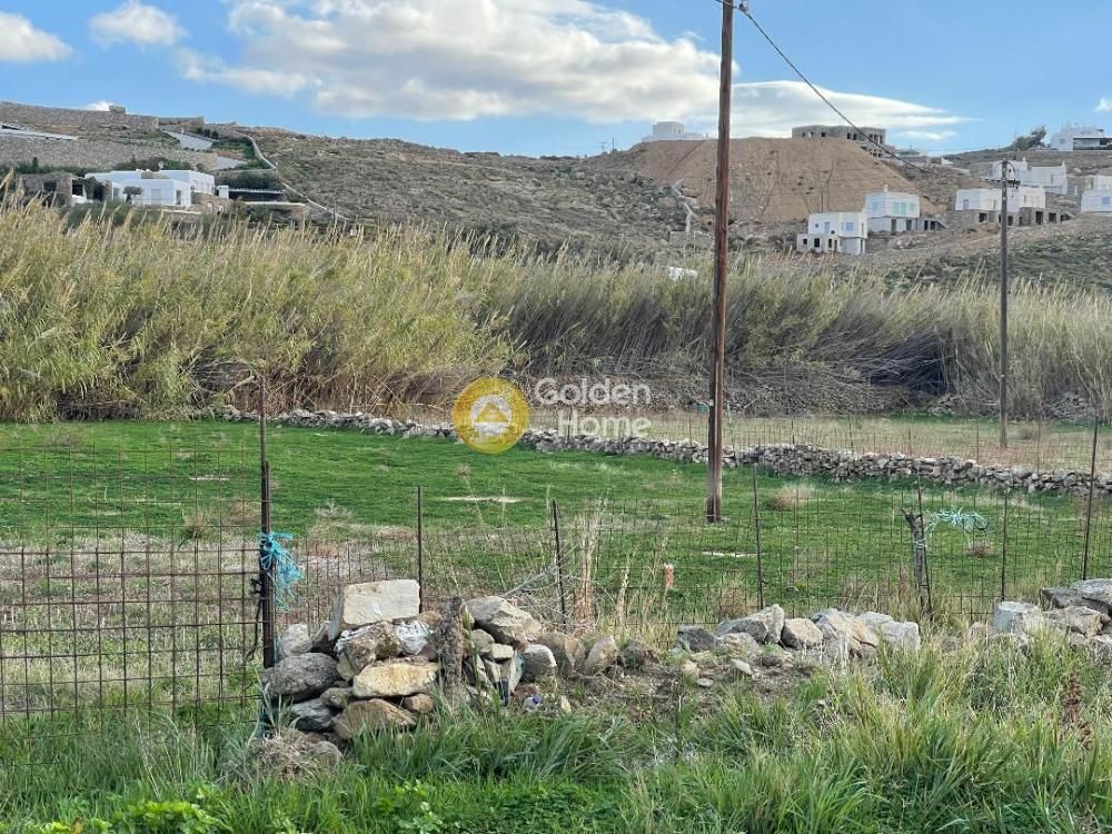4300 m² Plot