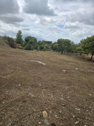 3800 m² Plot