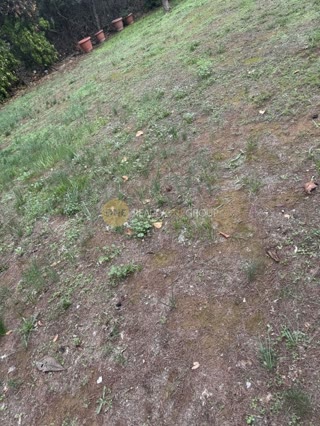 1100 m² Plot