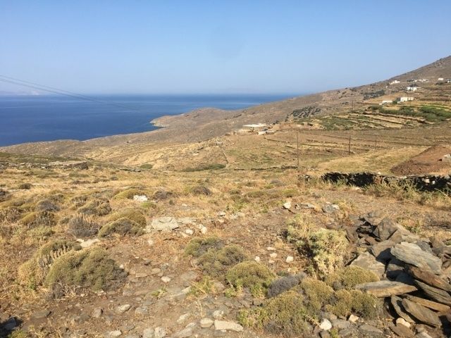 12500 m² Parcel
