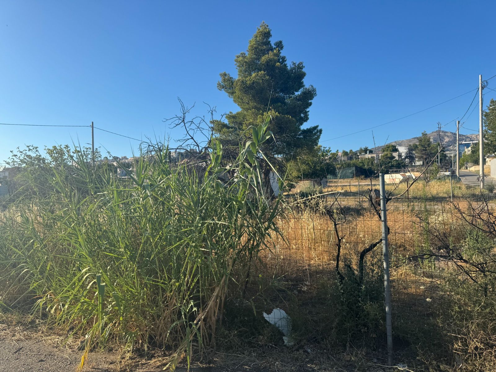 Οικόπεδο 353τ.μ.