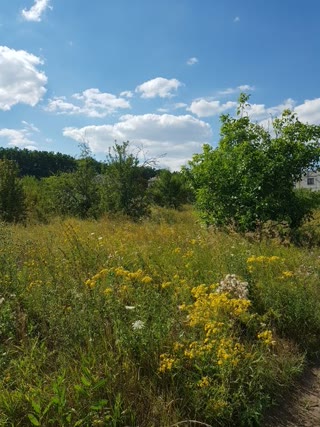 Land plot