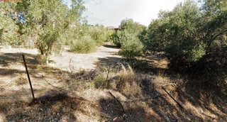 948 m² Plot