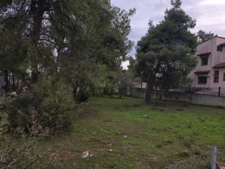 Участок 1000 м²