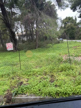 2400 m² Plot