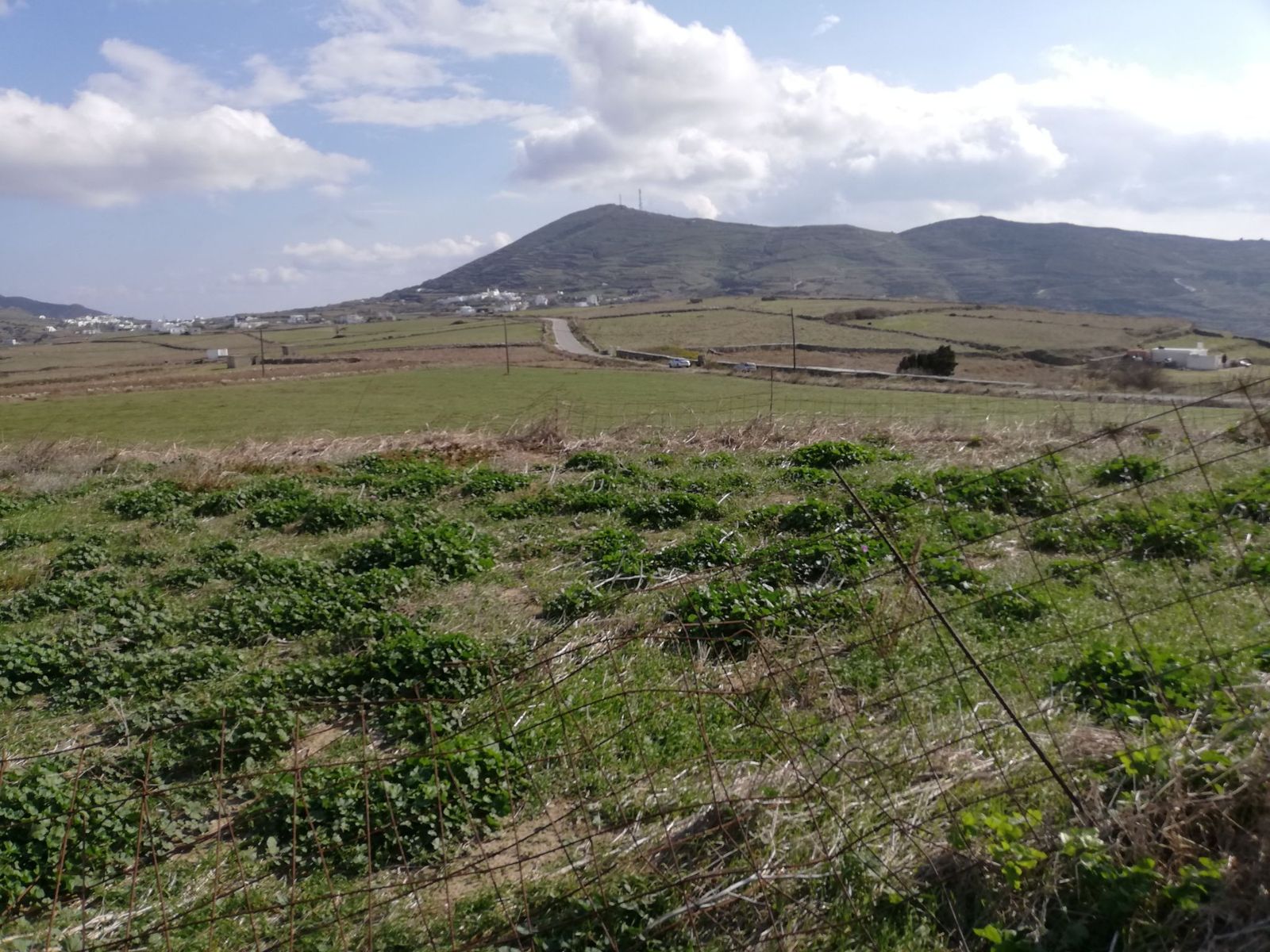 6929 m² Parcel