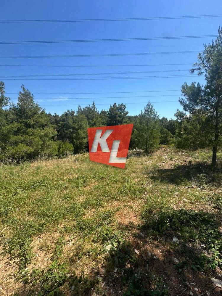 Οικόπεδο 800τ.μ.