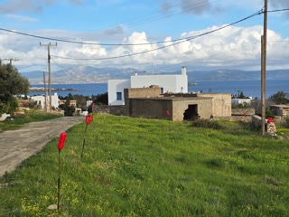 Οικόπεδο 1132 τ.μ.